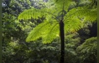 瀑布成群的冷门小城，今夏该它火了