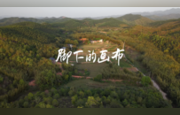 广美毕业季｜跨媒体艺术学院：以 “自然” 为笔 勾勒跨维度的生态叙事与艺术重构