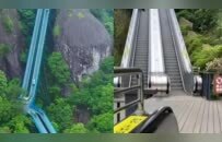 “窝囊旅游三件套”，拯救多少打工人？