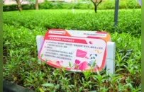 社区公园巧变防非课堂，中国人保健康深圳分公司开启金融教育新实践