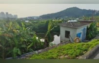 广州一造船厂被指私排污水，官方回应