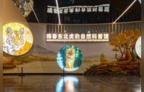 去这座东北小城避暑的人，帝王蟹都吃腻了