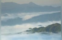 现在的年轻人，在上班和上学之间选择了上山