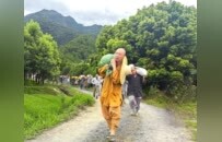 践行农禅家风！云门祖庭四众弟子出坡收稻