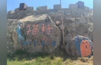 离北京不到两小时，90后农场主在河北山里建了个猫村