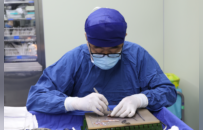 “爱耳公益新疆行”首例手术在宁成功实施 9岁患儿完成一期小耳再造