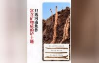 张宝山：以一根铁棍山药，撬动全球健康新生态