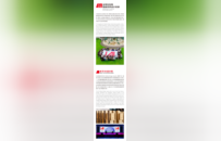 更国际，更权威！2025IAI设计奖全新升级，秋季赛作品全球征集中