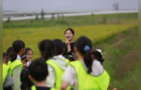 丰县顺河镇：稻“趣”齐庙 “薯”光无限