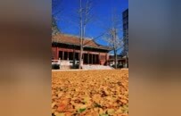 叮~一份邀请函待解锁！提取码：徐州鼓楼欢迎您！