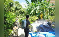 假期近尾声 防控不松劲 珠海中山各区镇持续筑牢蚊媒传染病防控屏障