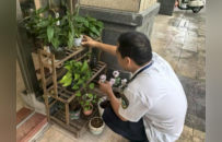 假期近尾声 防控不松劲 珠海中山各区镇持续筑牢蚊媒传染病防控屏障