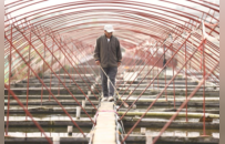 云龙小金鱼 “游”出大市场