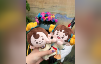 “宋潮有礼”推出菊花主题IP文创，赋能打造开封文旅新名片