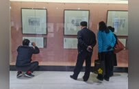 杨春茹彭城七里钢笔画展开展：线韵墨痕绘风华