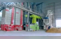 沛县，收稻！1800台农机决战秋收