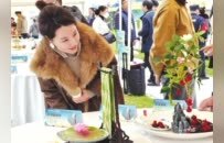 奋进的河南 决胜“十四五”·南阳篇丨宛城区：传承创新成高峰