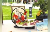 奋进的河南 决胜“十四五”·南阳篇丨宛城区：传承创新成高峰