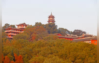 北川深山硝客传：从“野娃”到袍哥，一块血馍馍撑起的乱世人生