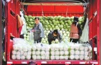 菜价走高 如何稳住“菜篮子”