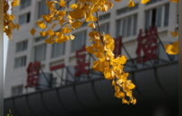 江苏建院构建“323”师德建设体系，全体教师同上“师德必修课”