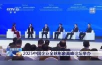 行业唯一获奖，徐工受邀出席2025中国企业全球形象高峰论坛