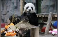 当年轻人爱上“窝囊游”