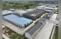 从“菊花香”变“金名片”！睢宁岚山镇力促中草药产业富民增收