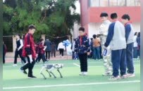 从“课堂”到“展台”，建业小学PYP教育让学习“看得见”