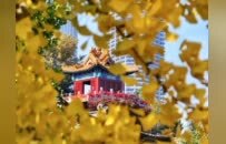 “童画七里”儿童创意大赛开始啦！