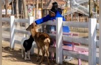 精彩“经开六小时”，惊艳外籍留学生