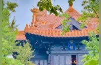 文脉里的新鼓楼：一曲“弦歌不辍”的时代和鸣