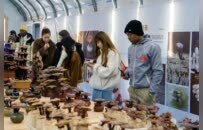 精彩“经开六小时”，惊艳外籍留学生