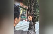 上饶信州区“城市修补计划”文艺志愿服务项目启动