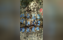 南宋绍熙四年“观稼檗山”“灵潭无”及榜书“灵渊”摩崖 | 黄檗金石录