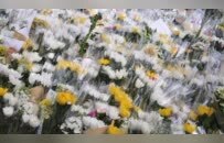 大火后的香港宏福苑：伤痛、自救与互助