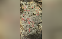 南宋绍熙四年“观稼檗山”“灵潭无”及榜书“灵渊”摩崖 | 黄檗金石录