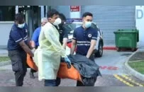 中国移民父女新加坡双尸案后续：女儿有精神问题、已13年不上班、骨灰送回辽宁老家…