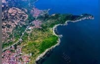 凤观 | “烟台盛会”启新程：山东以产业图谱为钥提速先行区建设