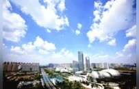 凤观 | “烟台盛会”启新程：山东以产业图谱为钥提速先行区建设