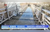 危险！徐州一国家级湿地公园栈道断裂、观鸟塔关闭……