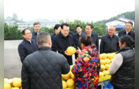 袁家军赴长寿区梁平区垫江县调研并主持召开座谈会 胡衡华出席