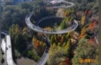 梅岭徒步，总有一条路线适合你！“轨迹画图”新玩法成为新风尚