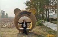 农田变成“田野艺术展”！创意“瑞士卷”带火南昌乡村游