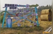 农田变成“田野艺术展”！创意“瑞士卷”带火南昌乡村游