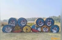 农田变成“田野艺术展”！创意“瑞士卷”带火南昌乡村游