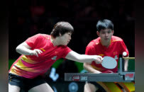 5连胜！国乒8-0横扫韩国，连续4场8-0零封