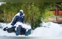 《红楼梦》是“悼明”之作？曹学会：把曹雪芹看低了