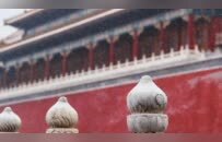 故宫“雪景大片”，来了