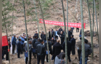 每日替代6-8名劳力！吉安低空装备亮绝活 立体作业破局山地林业痛点